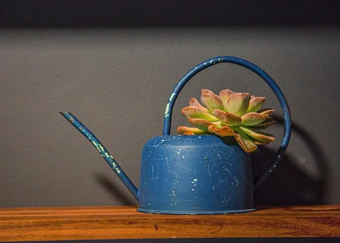 Kape Loft